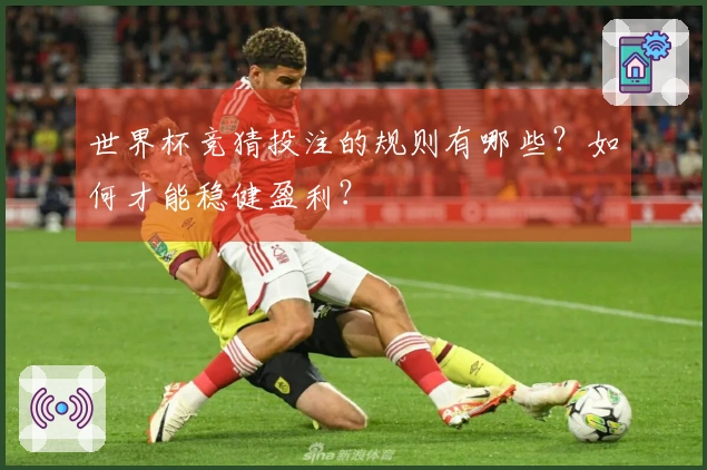 世界杯竞猜投注的规则有哪些？如何才能稳健盈利？