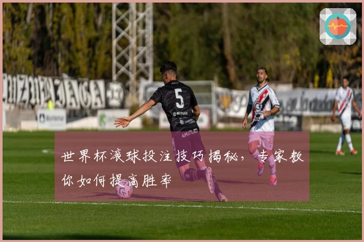 世界杯滚球投注技巧揭秘，专家教你如何提高胜率