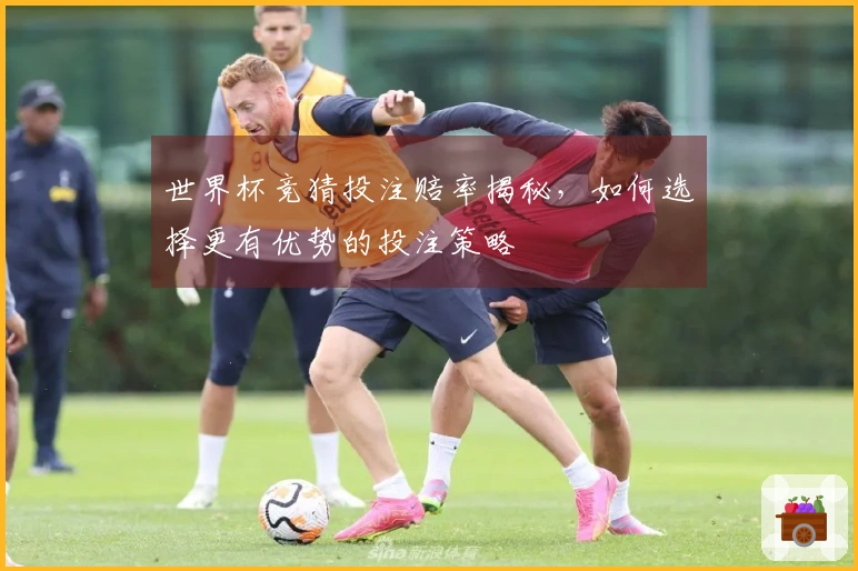 世界杯竞猜投注赔率揭秘，如何选择更有优势的投注策略
