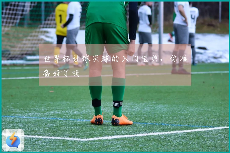 世界杯让球买球的入门宝典，你准备好了吗
